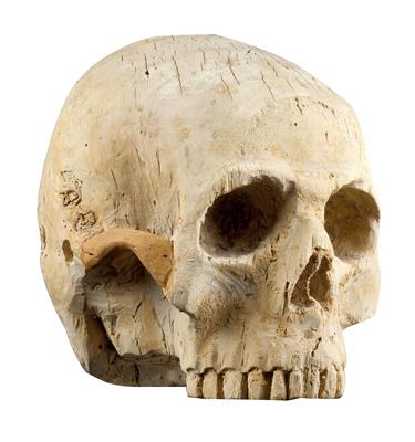 A skull, depiction of Vanitas, - Collection Reinhold Hofstätter