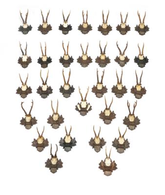 A Mixed Lot with 31 Antlers, - Majetek aristokratického původu a předměty důležitých proveniencí