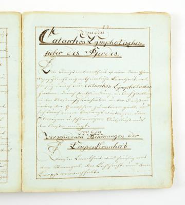 Tierarzneibuch, - Autographen, Handschriften, Urkunden