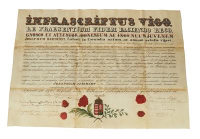 Ungarn, Pharmazie, - Autographen, Handschriften, Urkunden