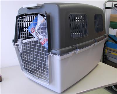 Hundetransportbox "Trixi", - Postal Service - Special auction