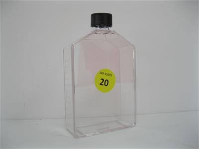 50 Kunststoffflaschen "Cornig 600 ml", - Postfundstücke