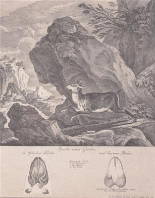 Johann Elias Ridinger - Arte, antiquariato e gioielli