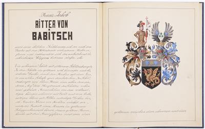 Ritterstandserhebung für Franz Jakob Babitsch (Wien 1811-1887), Präsident des k. k. Landesgerichts in Wien - Arte e antiquariato