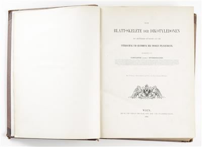 Buch: Constantin von Ettingshausen: Die Blatt-Skelette der Dikotyledonen, Wien, 1861 - Arte e antiquariato