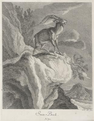 Johann Elias Ridinger - Obrazy
