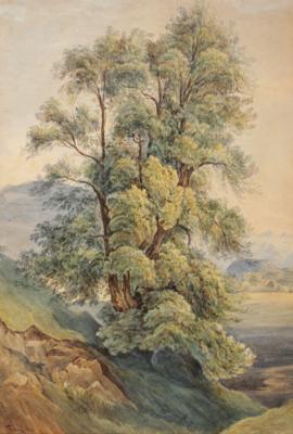 Friedrich Johann Treml - Paintings