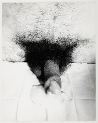 Hermann Nitsch * - Obrazy