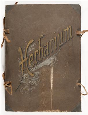 Herbarium mit ca. 86 verschiedenen Pflanzen - Asta di primavera