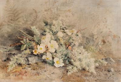 Marie Egner - Aukce podzim