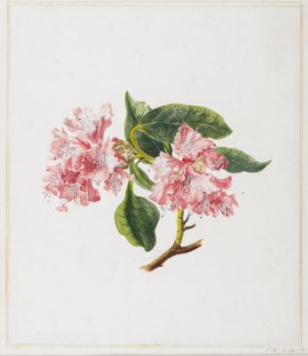 Edward Theodor Compton - Spring auction