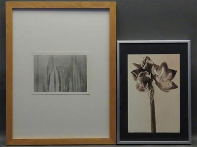 2 Fotografien a) Elisabeth Kraus - Kunst, Antiquitäten und Schmuck
