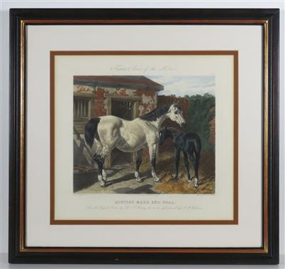 Kolorierter Stich von John Harris (1811-1865) und C. Quentery (tätig um 1850) - Kunst, Antiquitäten und Schmuck