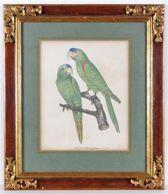 Grüne Papageien - Schmuck, Kunst und Antiquitäten