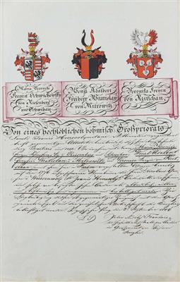 Historische Adelsbeglaubigung des böhmischen Großpriorates des Johanniterordens 1806 - Obrazy