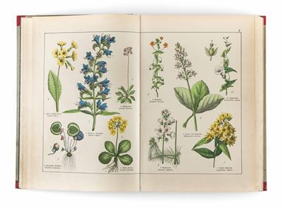 "Naturgeschichte des Tier-, Pflanzen- und Mineralreichs" - Velikonoční aukce
